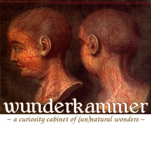 Wunderkammer Wunderkammer