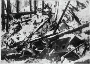 Wellington Avalanche Debris Wellington Avalanche Debris