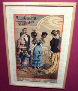 Millie and Christine poster from their Ringling Brothers circus days, as photographed by the Comtesse at the Circus World Museum in Baraboo, Wisconsin.