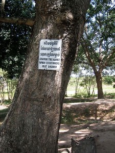 Chankiri Tree